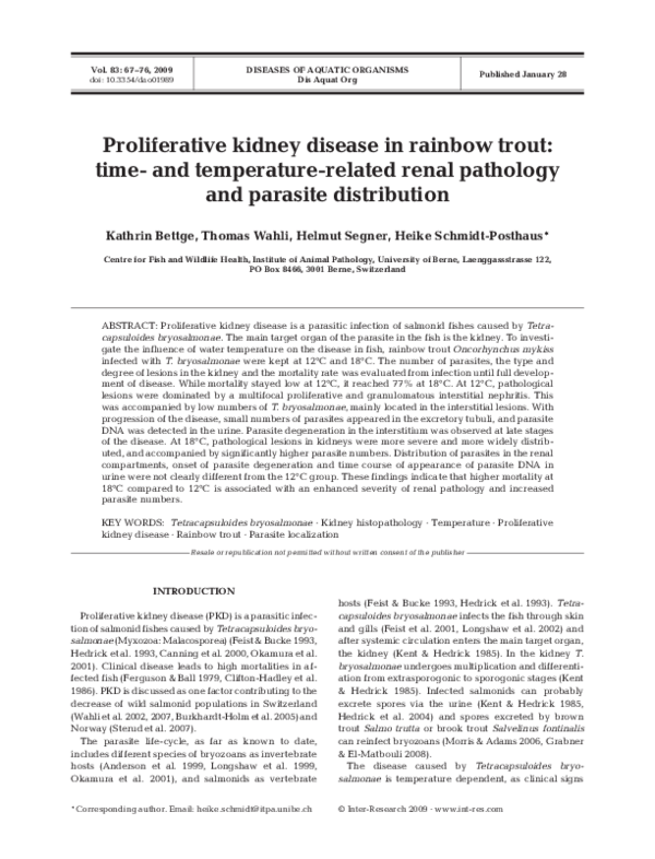 (PDF) Proliferative kidney disease in rainbow trout time and temperaturerelated renal