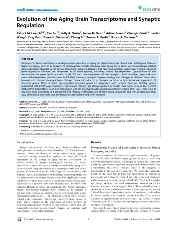 (PDF) Evolution of the Aging Brain Transcriptome and Synaptic Regulation