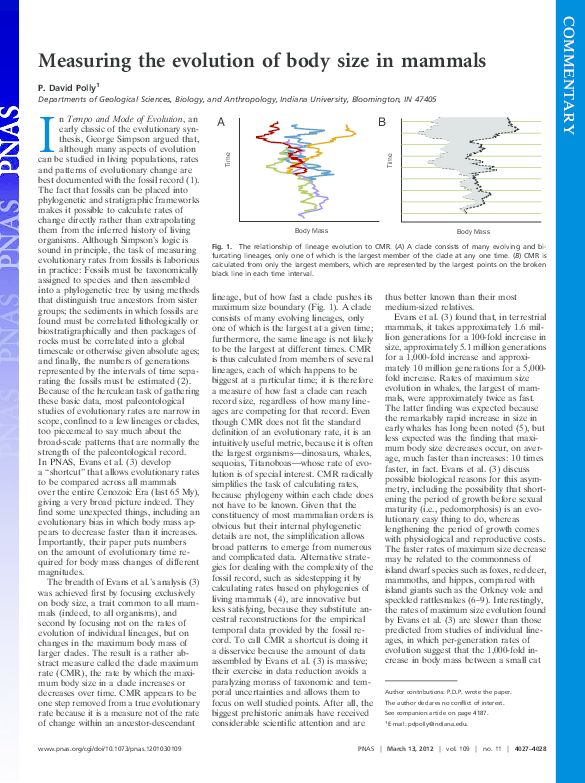 (PDF) Measuring the evolution of body size in mammals