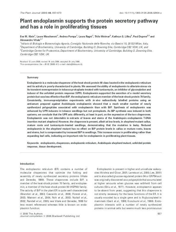 Eva figes kathryn sutherland essay 02 image