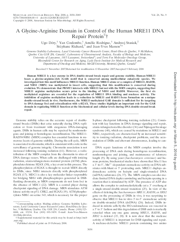 (PDF) A glycine-arginine domain in control of the human MRE11 DNA ...