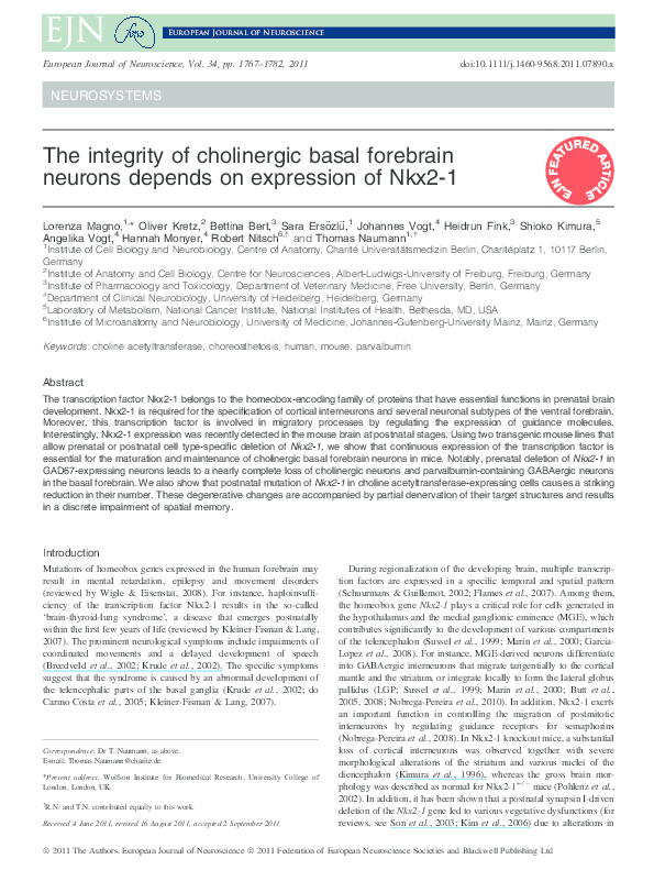 (PDF) The integrity of cholinergic basal forebrain neurons depends on ...