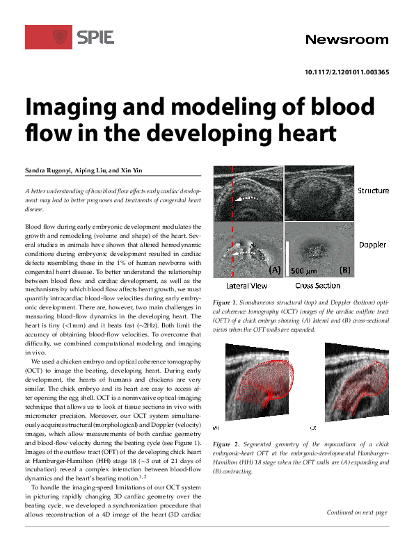(PDF) Imaging and modeling of blood flow in the developing heart