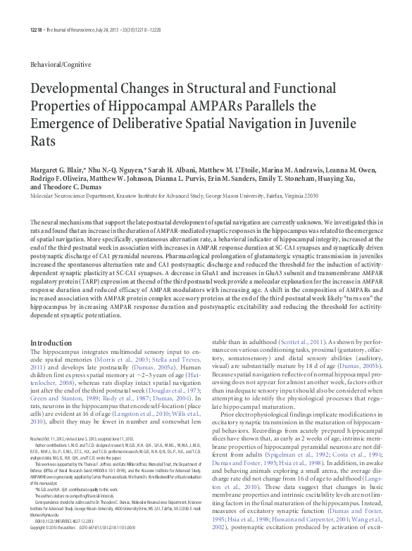 (PDF) Developmental Changes in Structural and Functional Properties of ...