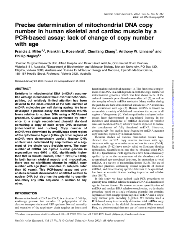 (PDF) Precise determination of mitochondrial DNA copy number in human ...