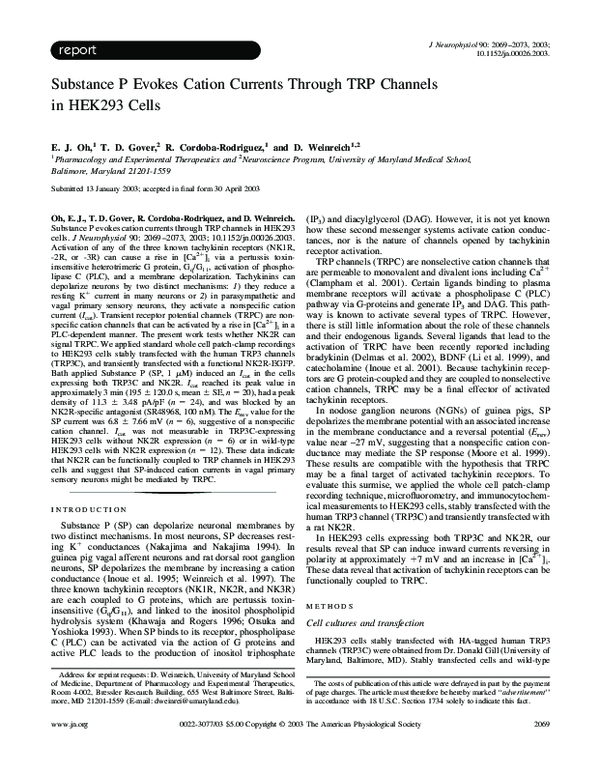(PDF) Ventrolateral Medulla: An In Vitro Patch-Clamp Study in Brain ...