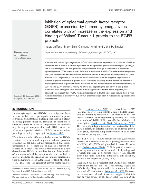 (PDF) Inhibition of the epidermal growth factor receptor enhances ...