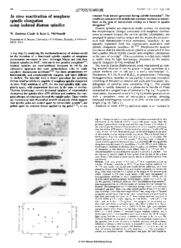 (PDF) In vitro reactivation of anaphase spindle elongation using