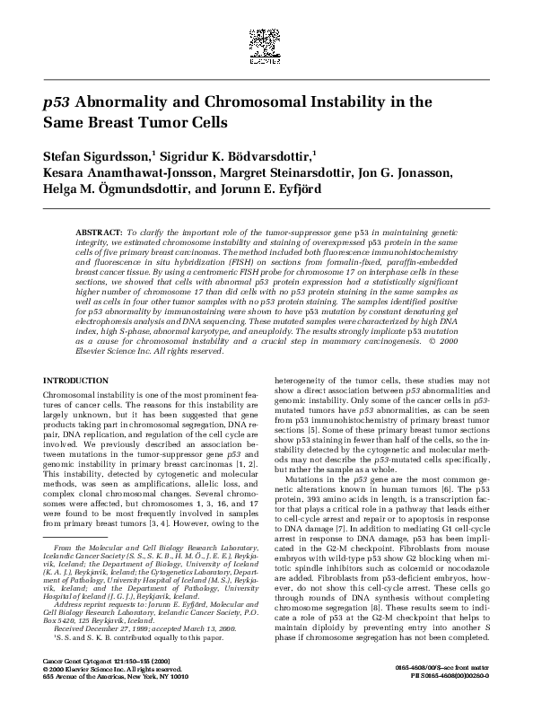 (PDF) p53 Abnormality and Chromosomal Instability in the Same Breast ...