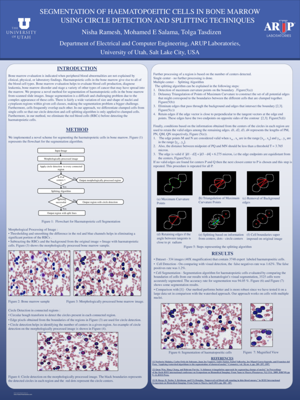 (PDF) Segmentation of haematopoeitic cells in bone marrow using circle