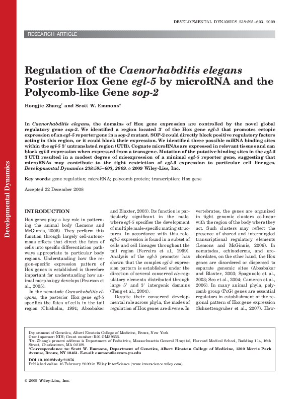 (PDF) Regulation of the Caenorhabditis elegans posterior hox gene egl ...