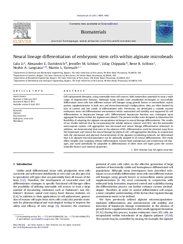 (PDF) Neural lineage differentiation of embryonic stem cells within ...