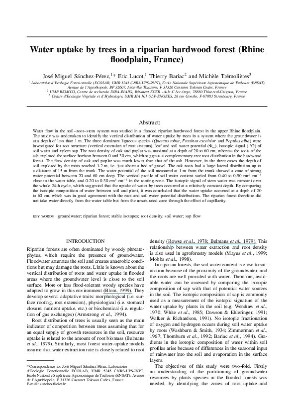 (PDF) Water uptake by trees in a riparian hardwood forest (Rhine ...