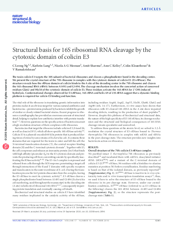 (PDF) Structural basis for 16S ribosomal RNA cleavage by the cytotoxic ...