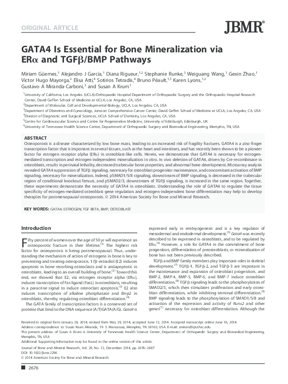 Bmp term paper 03 picture