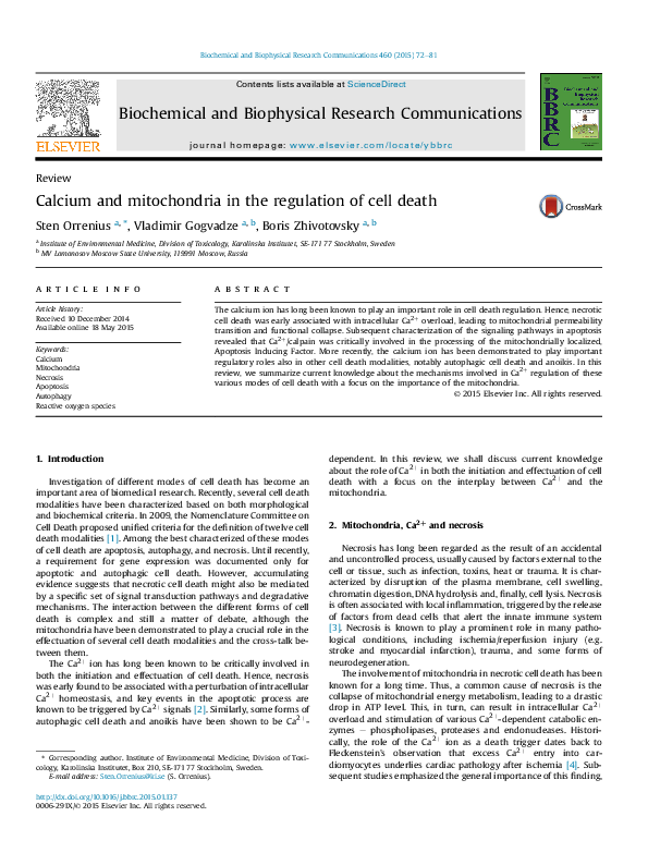 (PDF) Calcium and mitochondria in cell death