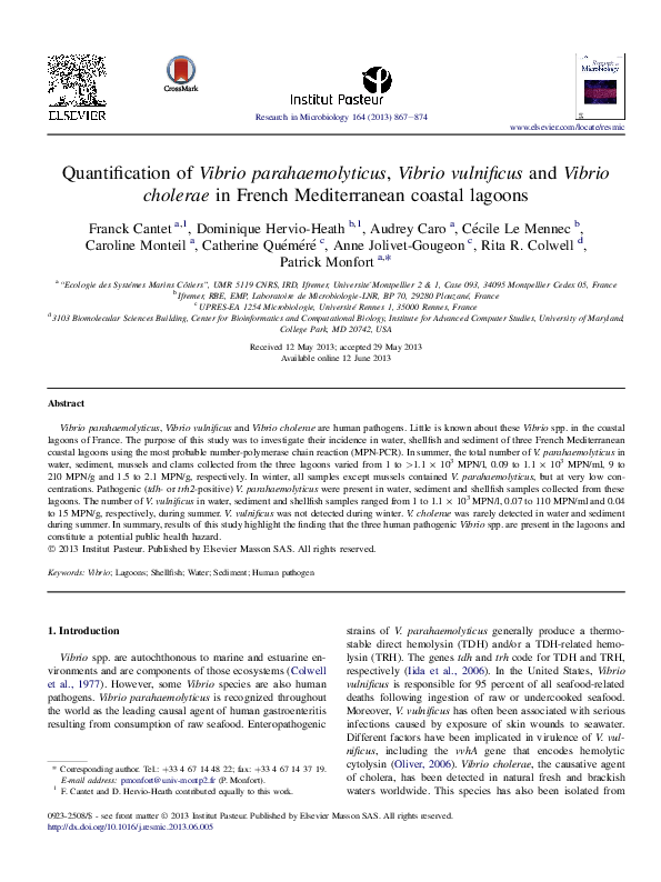 Causes of cholera image