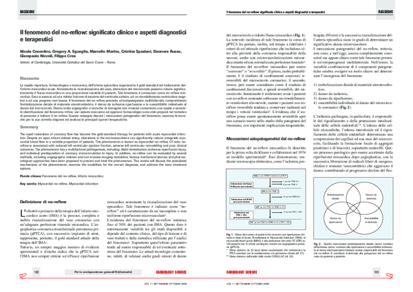 (PDF) Il fenomeno del no-reflow: significato clinico e aspetti ...