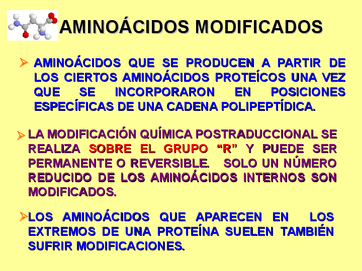 (PPT) ) AMINOACIDOS MODIFICADOS Y NO