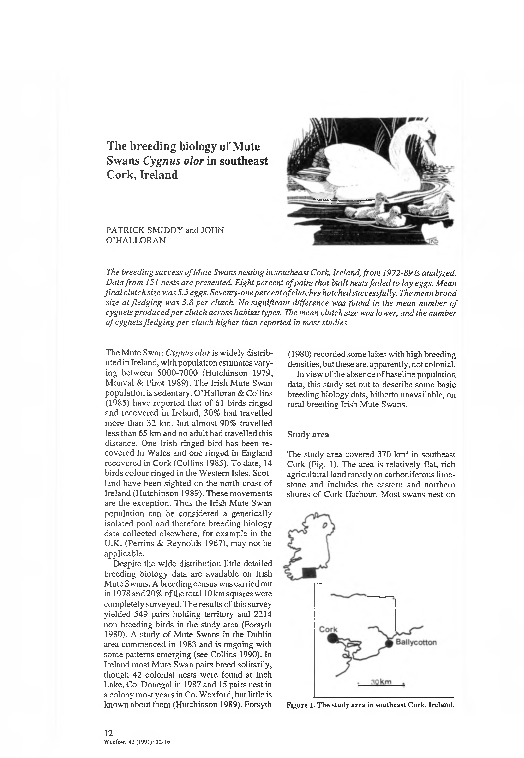 (PDF) The breeding biology of Mute Swans Cygnus olor in southeast Cork