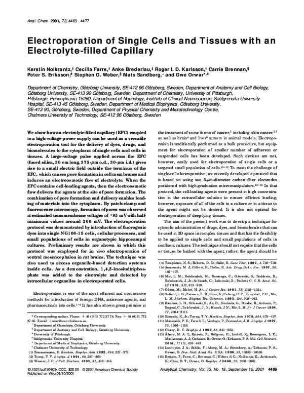 (PDF) Electroporation of Single Cells and Tissues with an Electrolyte ...