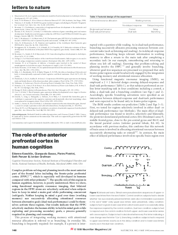 (PDF) The role of the anterior prefrontal cortex in human cognition