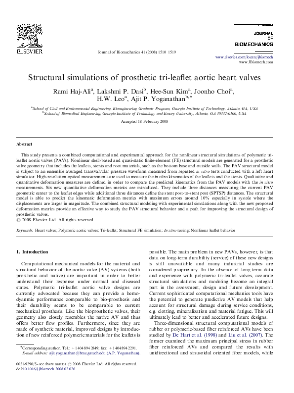 Aortic valve essay 07 image