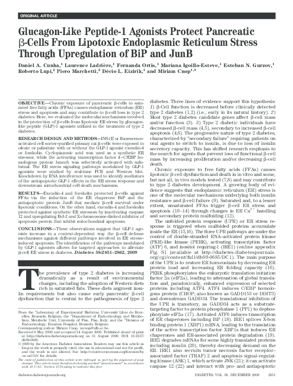 View of (PDF) Glucagon-Like Peptide-1 Agonists Protect Pancreatic -Cells From ...