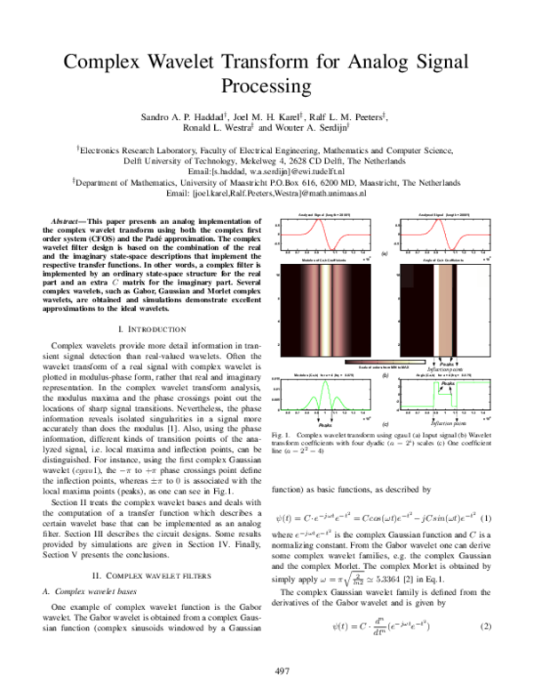 (PDF) Complex Wavelet Transform for Analog Signal Processing