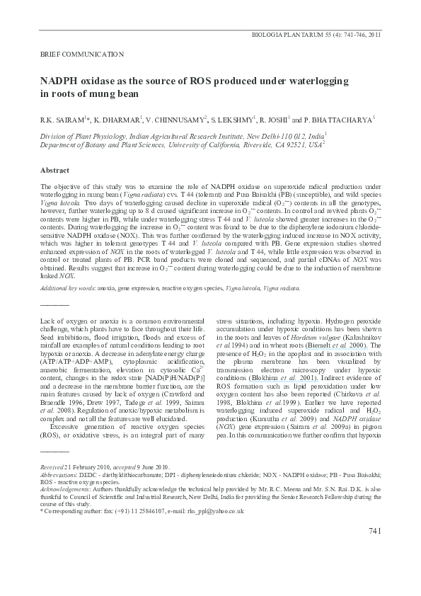 (PDF) NADPH oxidase as the source of ROS produced under waterlogging in ...