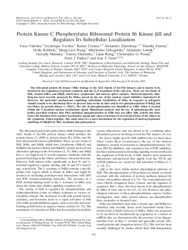 (PDF) Protein Kinase C Phosphorylates Ribosomal Protein S6 Kinase II