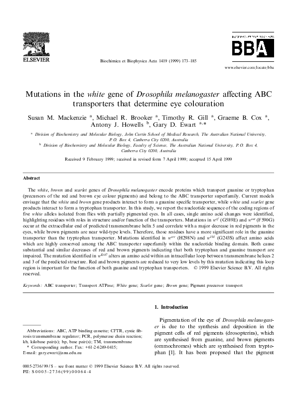 (PDF) Mutations in the white gene of Drosophila melanogaster affecting ...