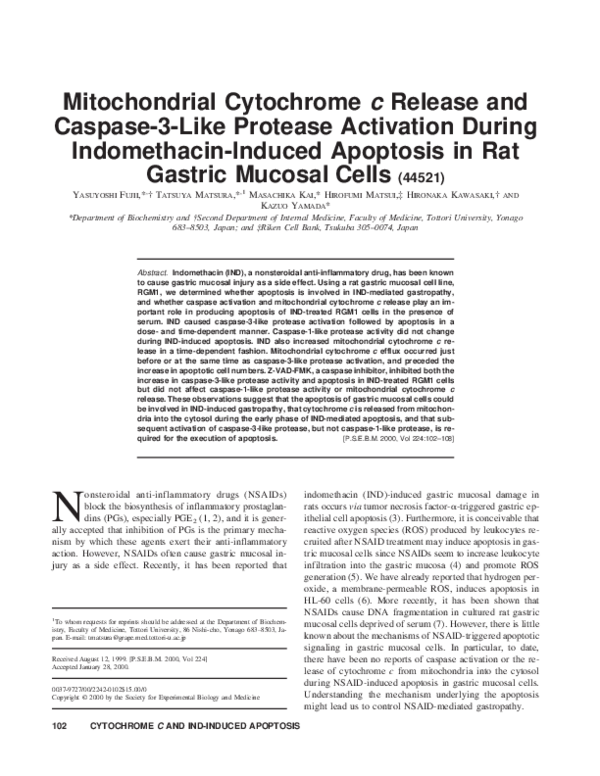 (PDF) Mitochondrial Cytochrome c Release and Caspase-3-Like Protease ...