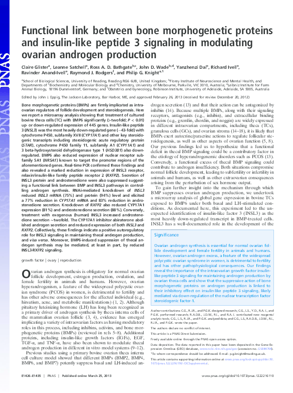 (PDF) Functional link between bone morphogenetic proteins and insulin ...