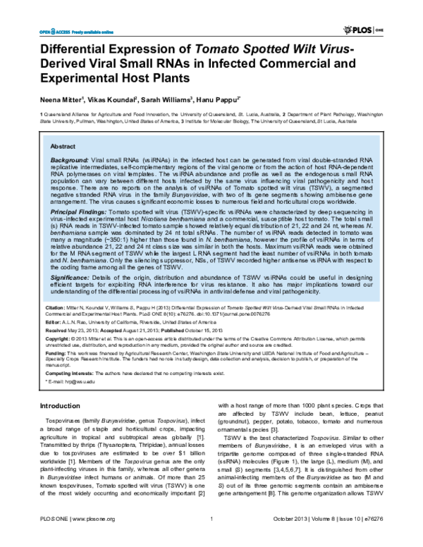 How much sun do tomatoes need picture