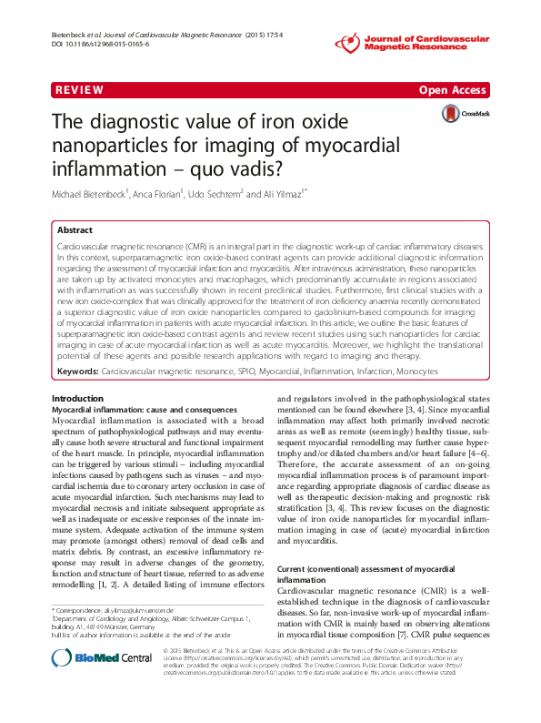 (PDF) The diagnostic value of iron oxide nanoparticles for imaging of ...