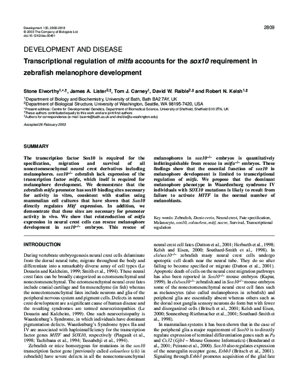 (PDF) Transcriptional regulation of mitfa accounts for the sox10 ...