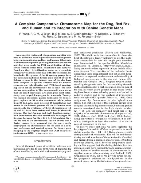 (PDF) A Complete Comparative Chromosome Map for the Dog, Red Fox, and ...