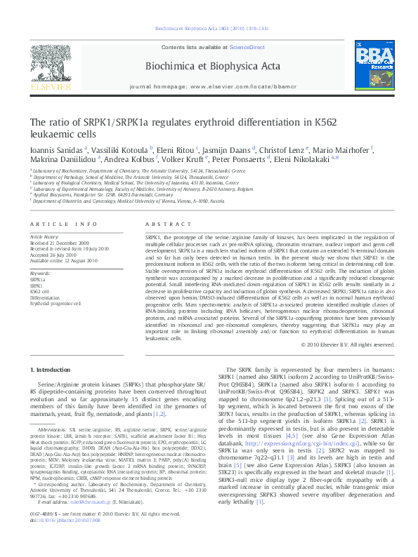 (PDF) The ratio of SRPK1/SRPK1a regulates erythroid differentiation in ...