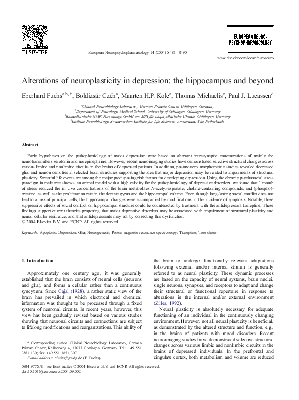 (PDF) Alterations of neuroplasticity in depression: the hippocampus and ...