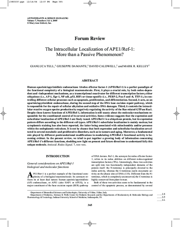 (PDF) The Intracellular Localization of APE1/Ref-1: More than a Passive ...