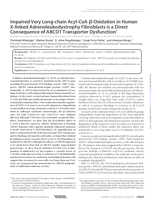 Adrenoleukodystrophy essay 06 picture