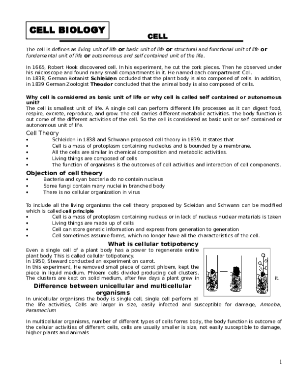 (DOC) BOTANY Class 11.DOC Asgar Ansari Academia.edu