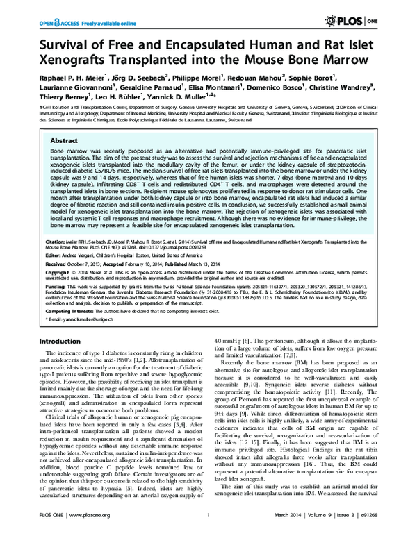 (PDF) Survival of Free and Encapsulated Human and Rat Islet Xenografts ...
