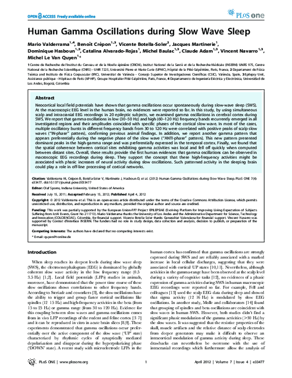 (PDF) Human Gamma Oscillations during Slow Wave Sleep