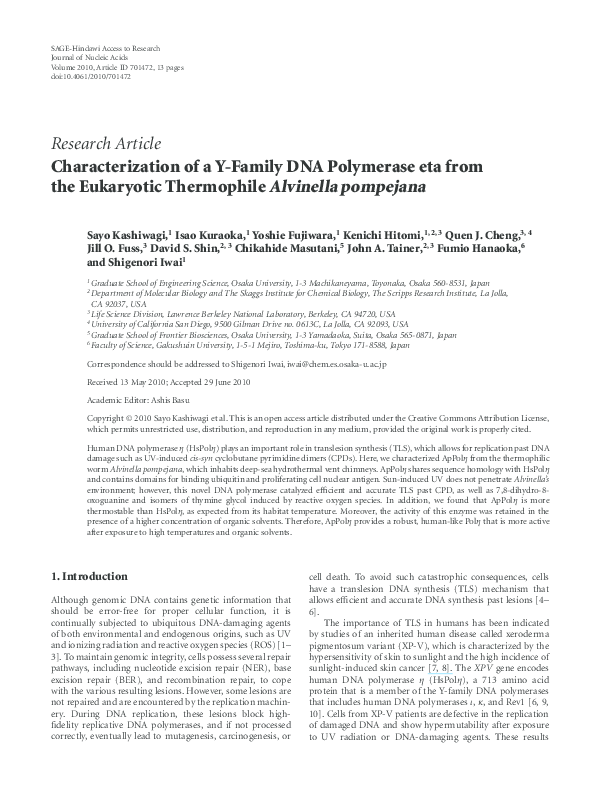 (PDF) Characterization of a Y-Family DNA Polymerase eta from the ...