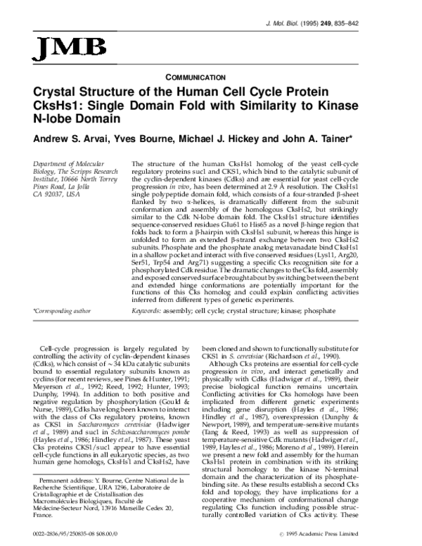 (PDF) Crystal Structure of the Human Cell Cycle Protein CksHs1: Single ...