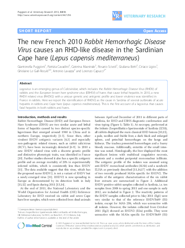 (PDF) The new French 2010 Rabbit Hemorrhagic Disease Virus causes an ...
