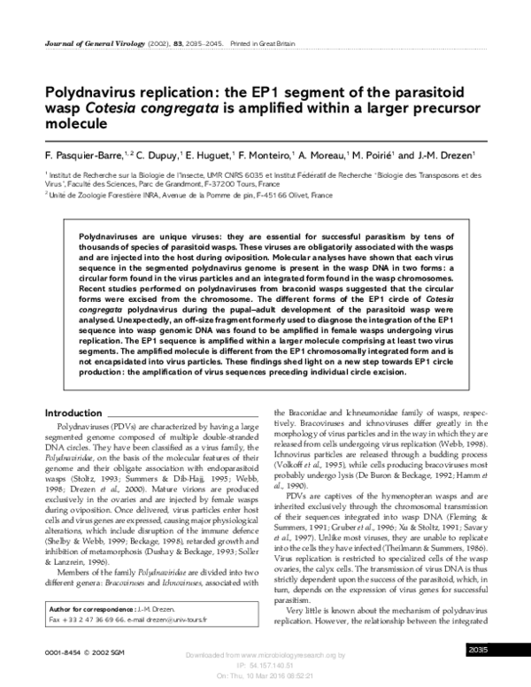 (PDF) Polydnavirus replication: the EP1 segment of the parasitoid wasp ...