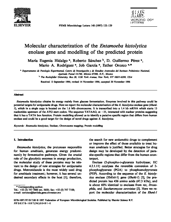 (PDF) Molecular characterization of the Entamoeba histolytica enolase ...